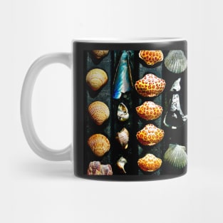 Gulf Coast Shells Mug